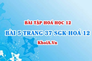 Bài 5 trang 37 SGK Hoá 12: Nội dung về CacboHidrat